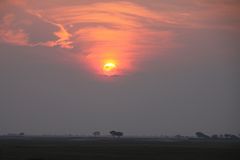 Sonnenuntergang im Chobe NP