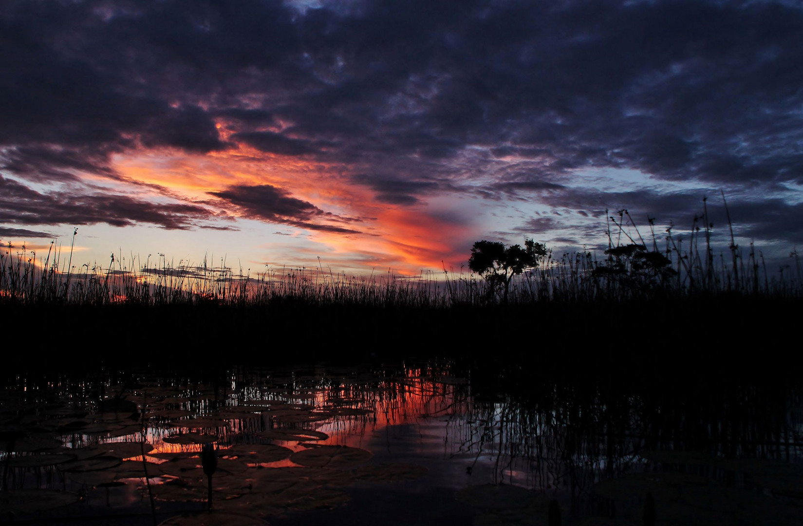 Sonnenuntergang im Delta