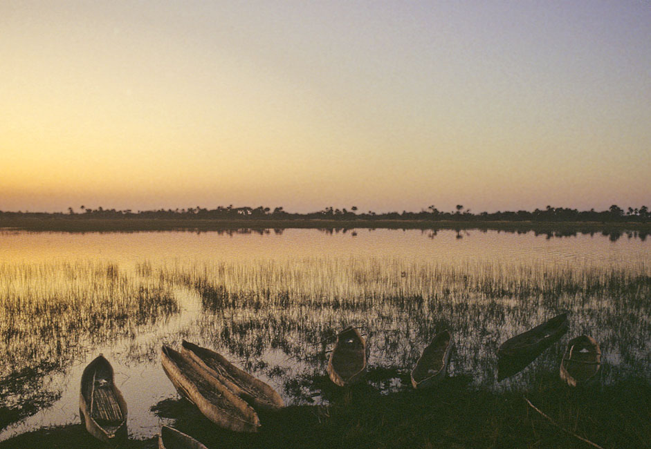 Sonnenuntergang im Delta