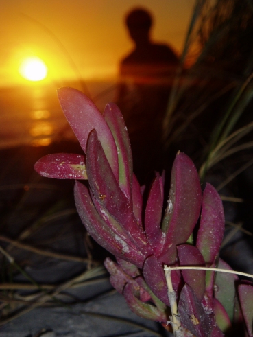 sonnenuntergang im detail