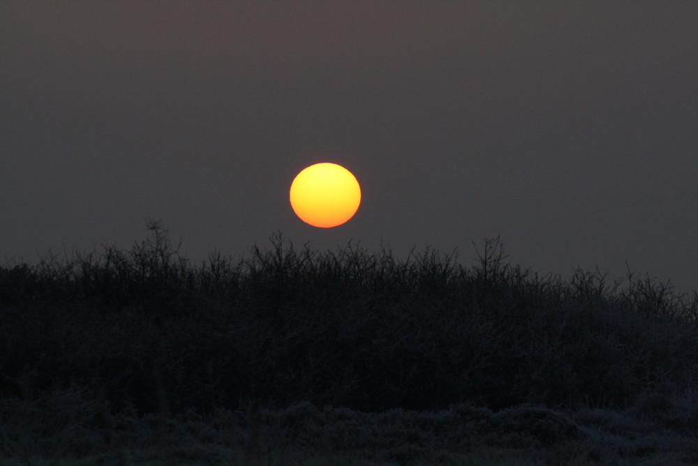 Sonnenuntergang im Dezember