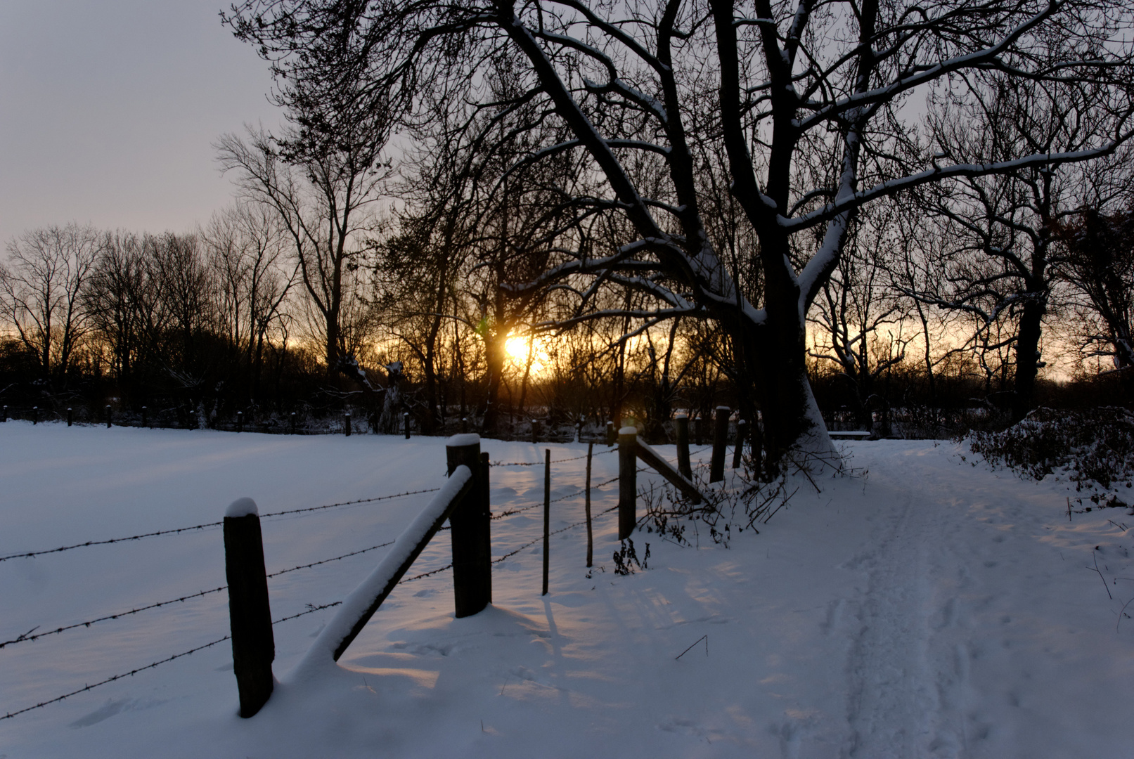 Sonnenuntergang im Dezember