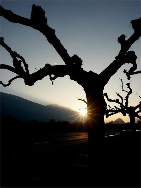 "Sonnenuntergang im Dezember" von Nicole Zuber