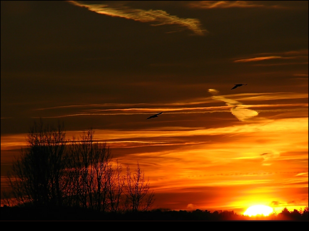 Sonnenuntergang im Dezember