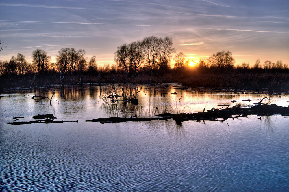 Sonnenuntergang im Diepholzer Moor