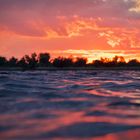 Sonnenuntergang im Donaudelta