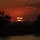 Sonnenuntergang im Donaudelta 
