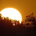 Sonnenuntergang im Donaudelta