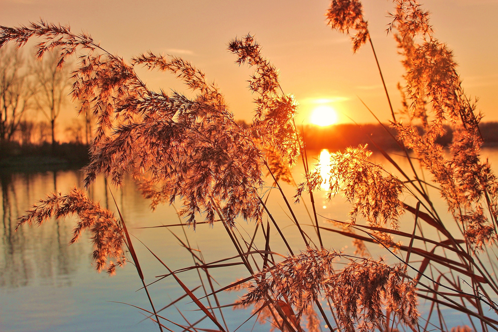 Sonnenuntergang im Donaupark Deggendorf