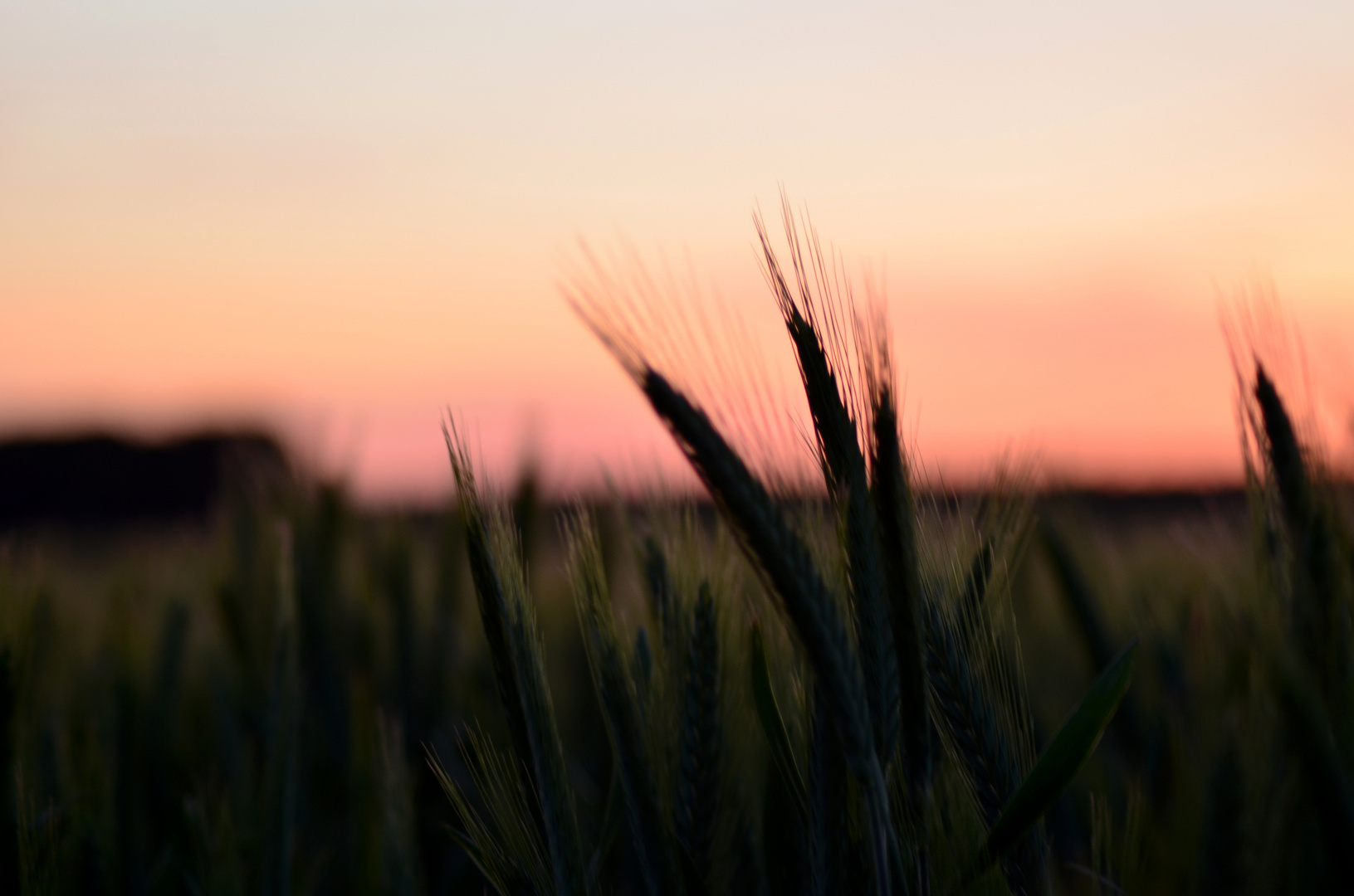 Sonnenuntergang im Dorf