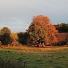 sonnenuntergang im dorf