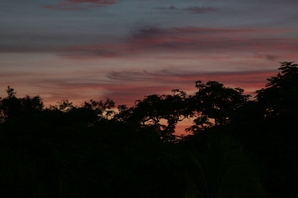 Sonnenuntergang im Dschungel