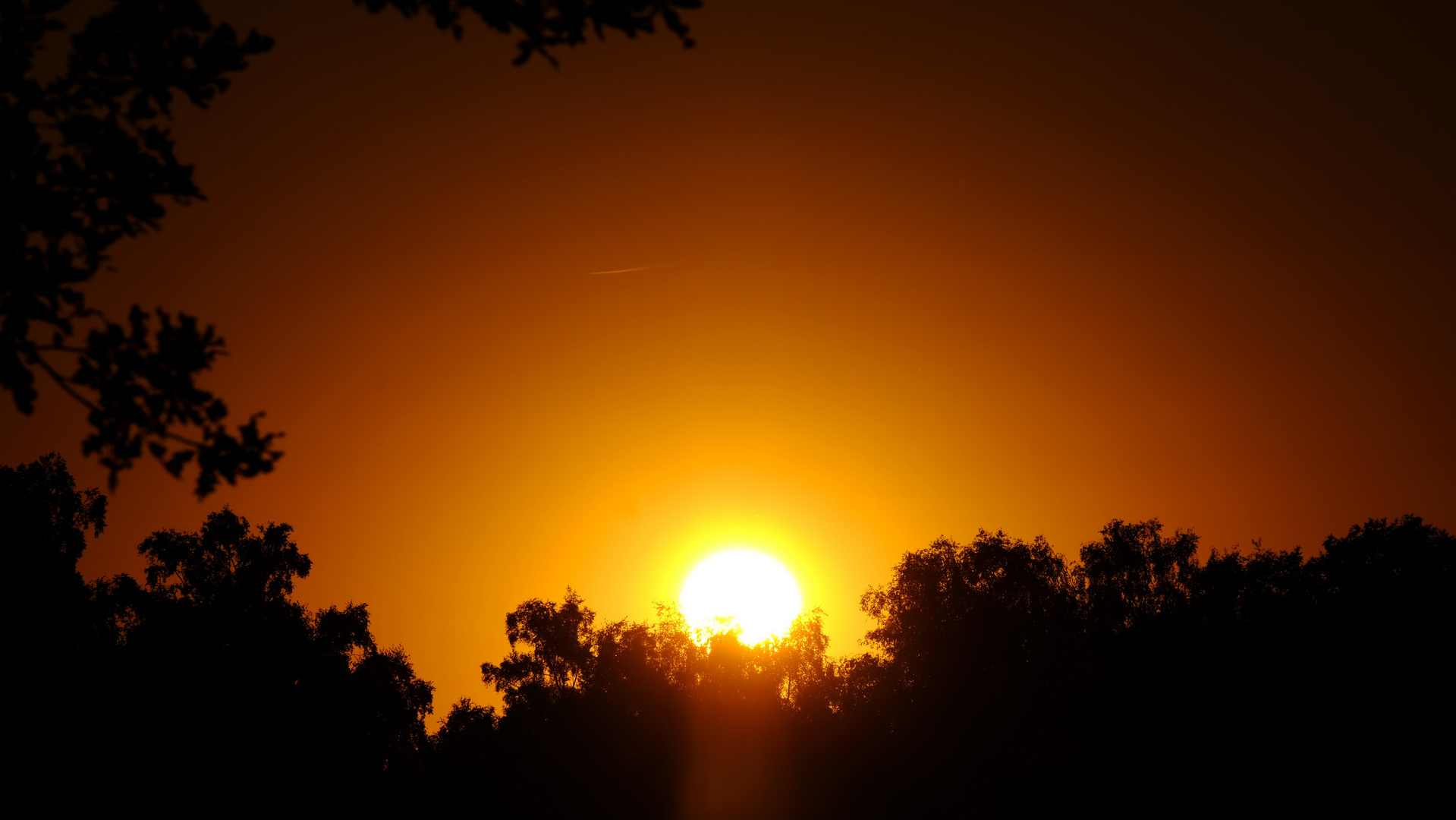 Sonnenuntergang im Duvenstedter Brook