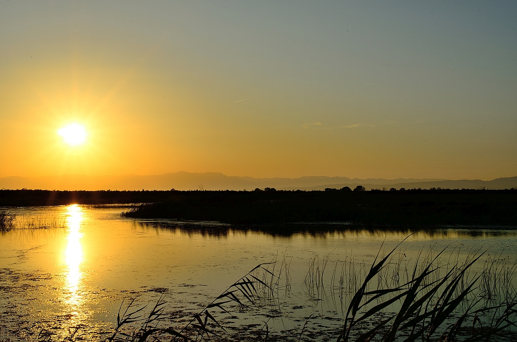 Sonnenuntergang im Ebro Delta