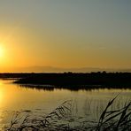 Sonnenuntergang im Ebro Delta