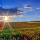 Sonnenuntergang im Eifel-Land