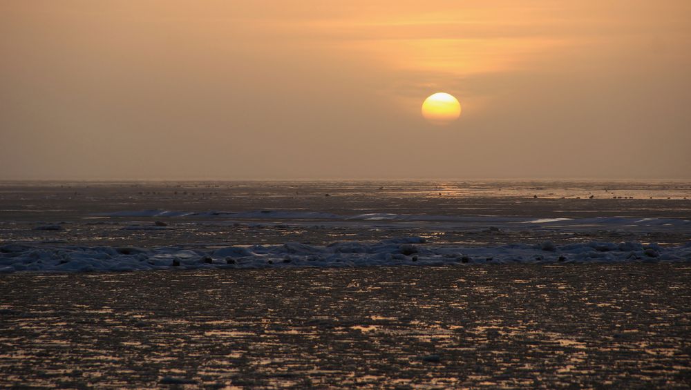 Sonnenuntergang im Eis...