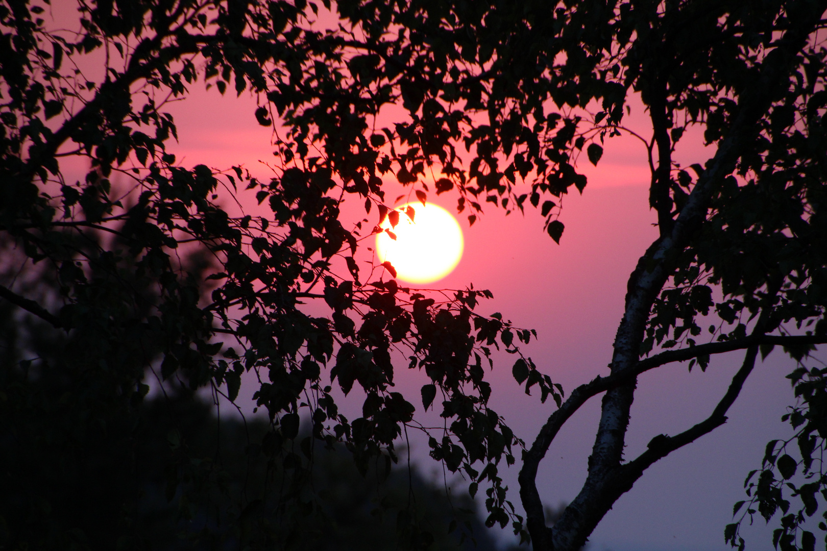 Sonnenuntergang im Elbsandsteingebirge