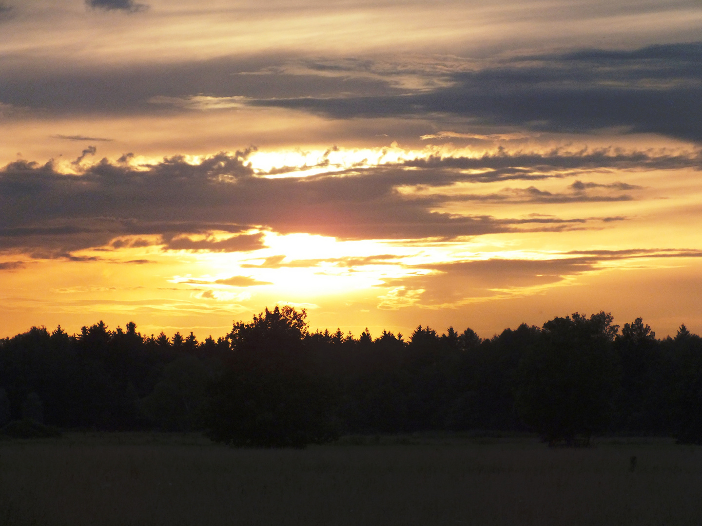 Sonnenuntergang im Elmpter Schwalmbruch