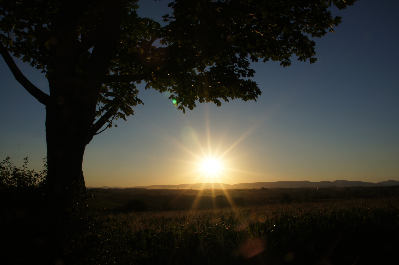 Sonnenuntergang im Elsass