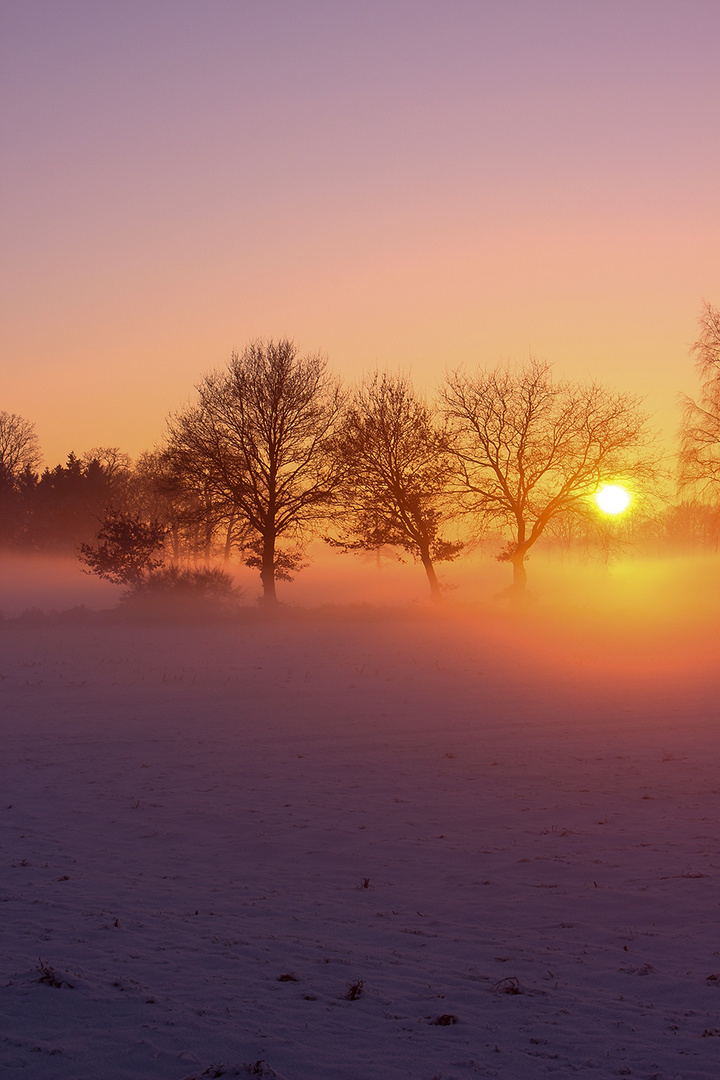 Sonnenuntergang im Emsland