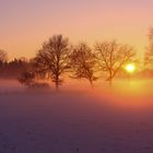 Sonnenuntergang im Emsland