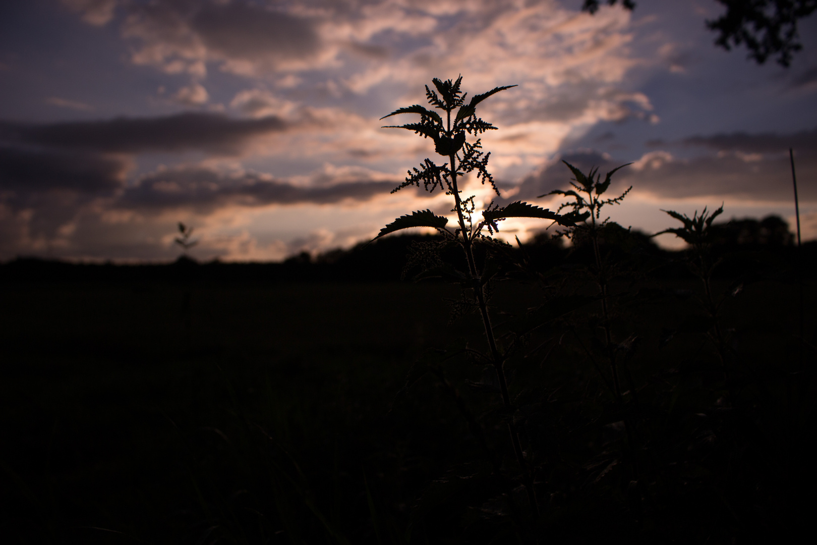 Sonnenuntergang im Emsland