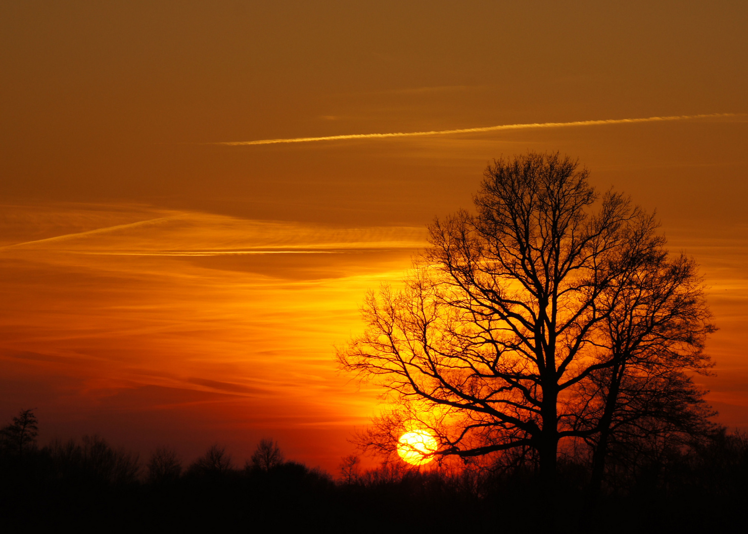 Sonnenuntergang im Emsland (März 2011)