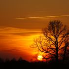 Sonnenuntergang im Emsland (März 2011)