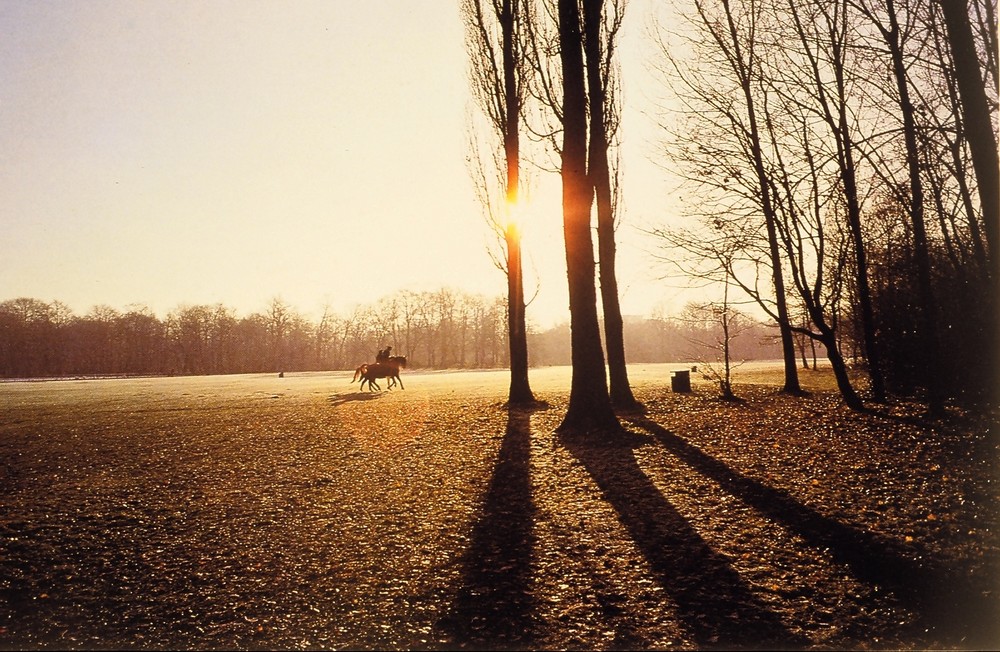 Sonnenuntergang im Englischen Garten