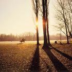 Sonnenuntergang im Englischen Garten