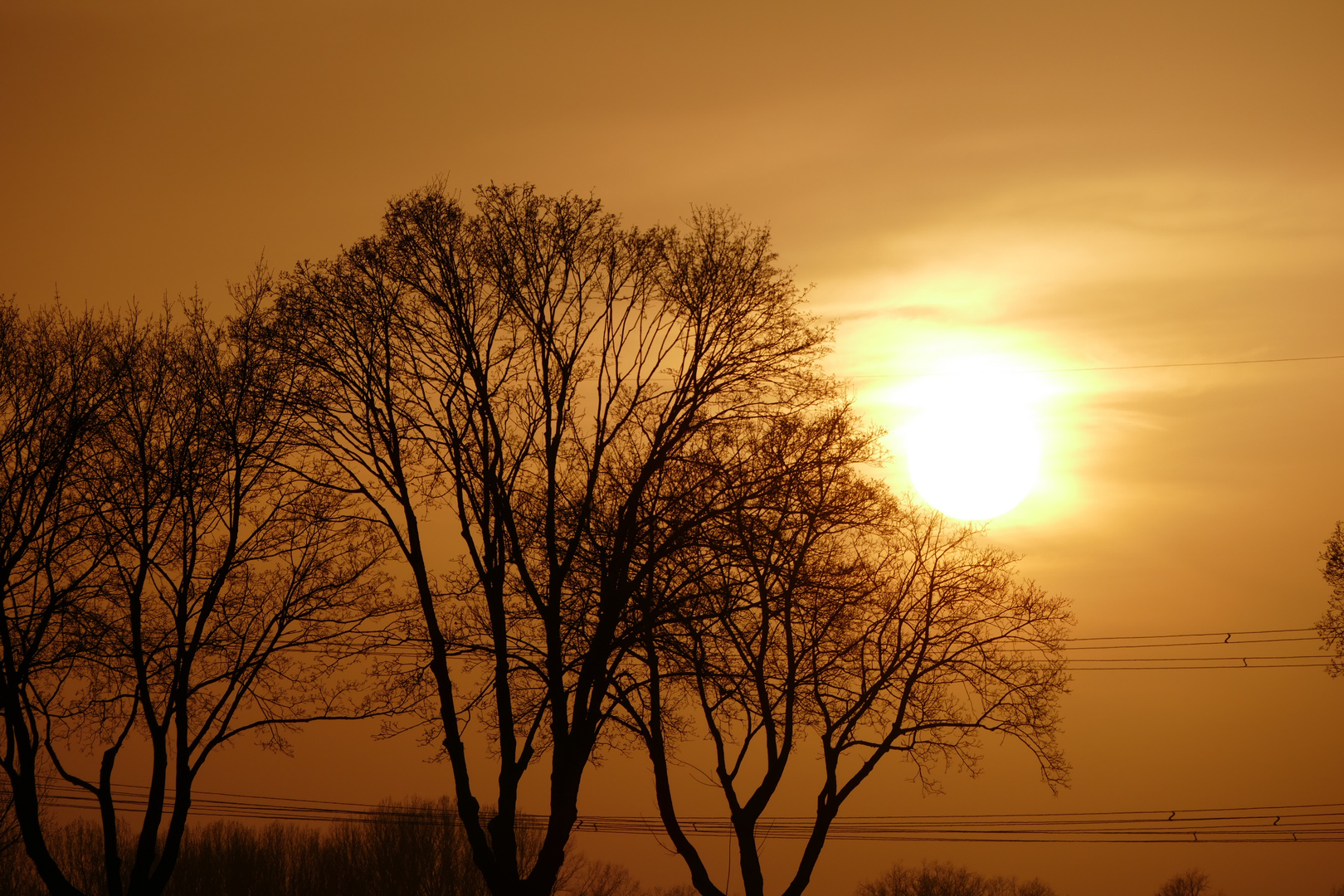 Sonnenuntergang im Erdinger Moos