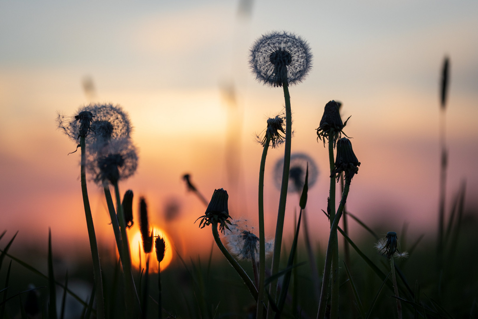 Sonnenuntergang im Erzgebirge