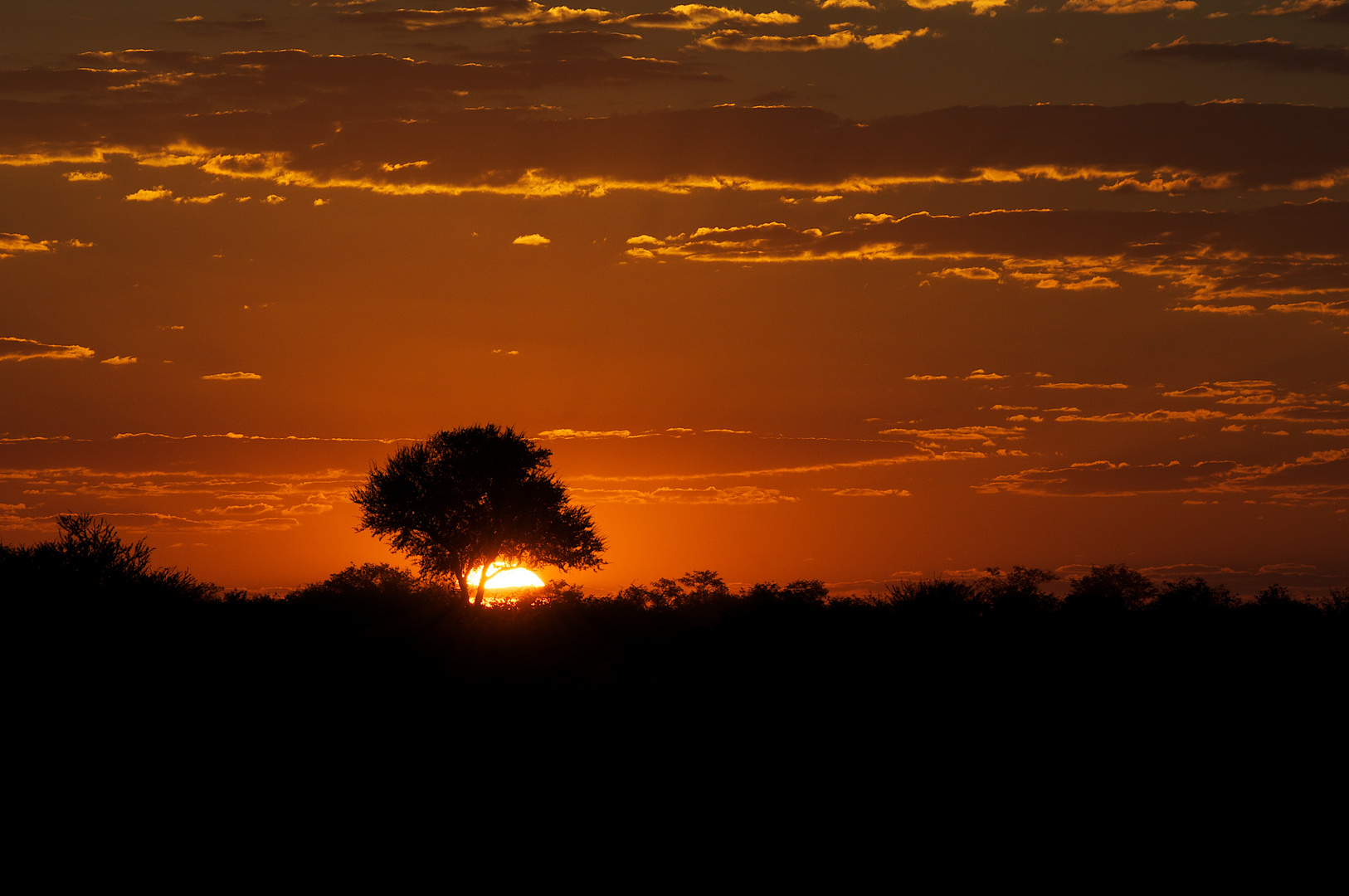 Sonnenuntergang im Etosha