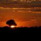 Sonnenuntergang im Etosha