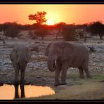 Sonnenuntergang im Etosha