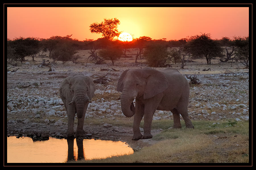 Sonnenuntergang im Etosha