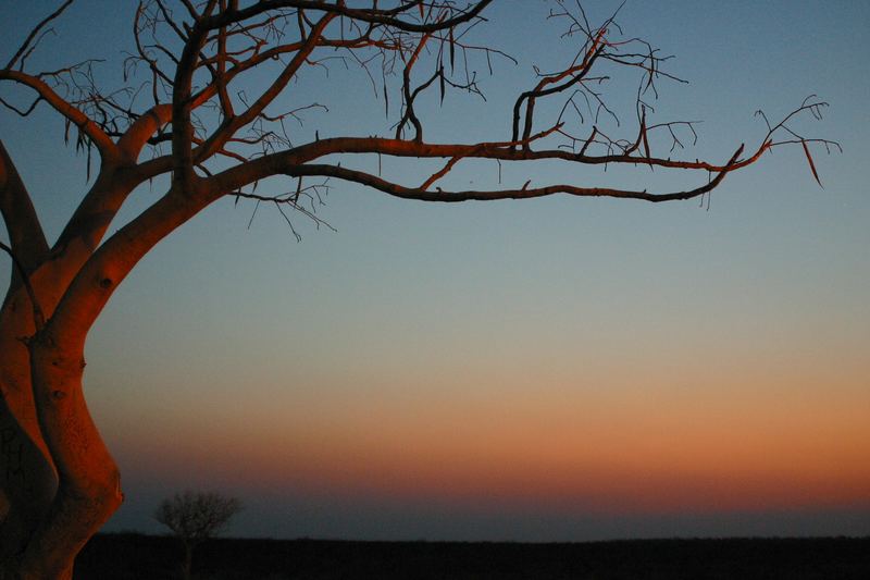 Sonnenuntergang im Etosha Nationalpark