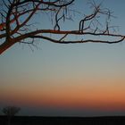 Sonnenuntergang im Etosha Nationalpark