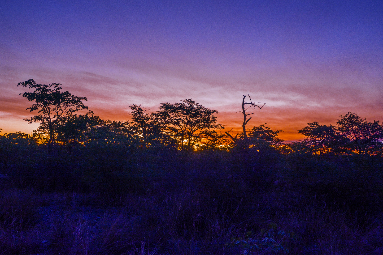 Sonnenuntergang im Etosha-Nationalpark