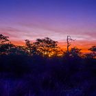 Sonnenuntergang im Etosha-Nationalpark