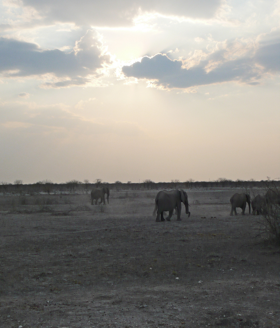 Sonnenuntergang im Etosha-Nationalpark