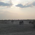 Sonnenuntergang im Etosha-Nationalpark