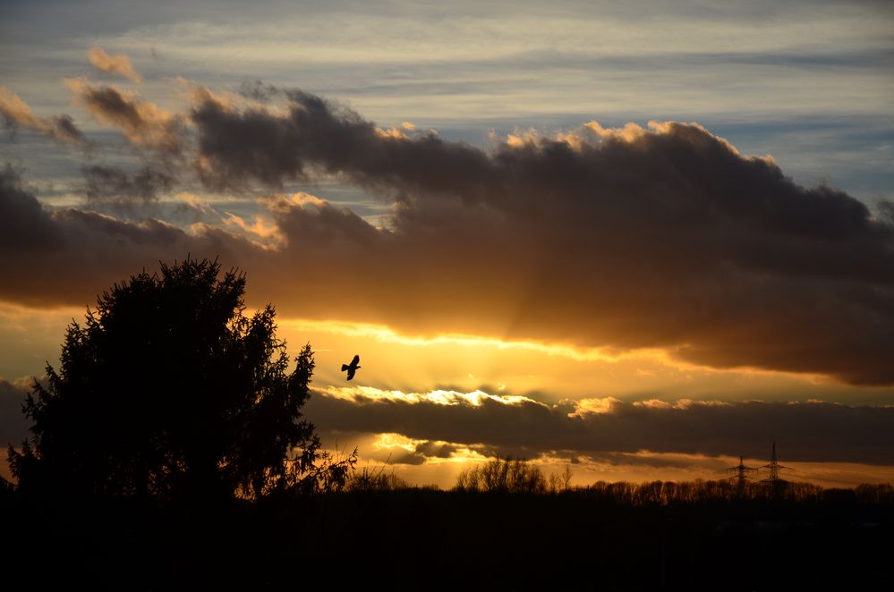 Sonnenuntergang im Februar