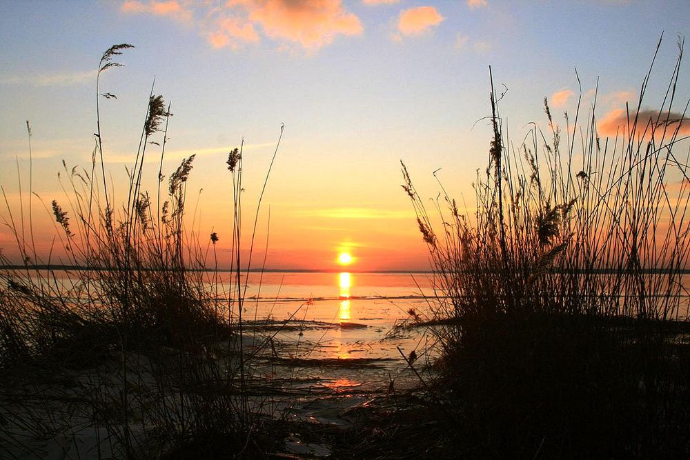 Sonnenuntergang im Februar von Monika Plötz 