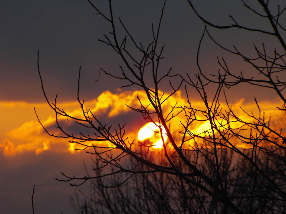 Sonnenuntergang im Februar