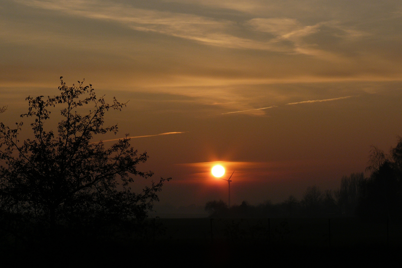 Sonnenuntergang im Februar