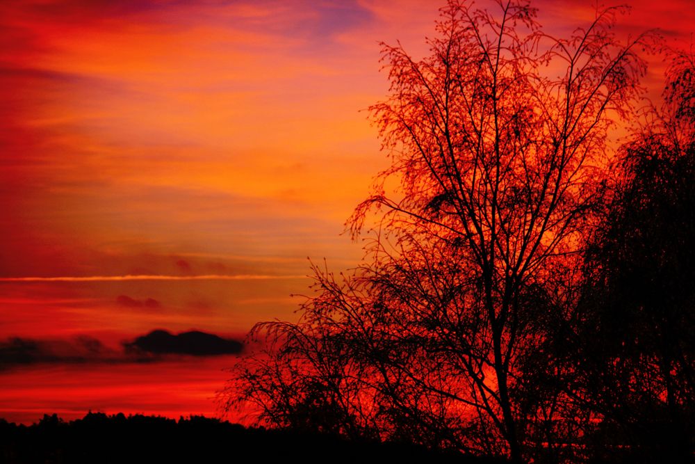 Sonnenuntergang im Februar von Lautertaler 