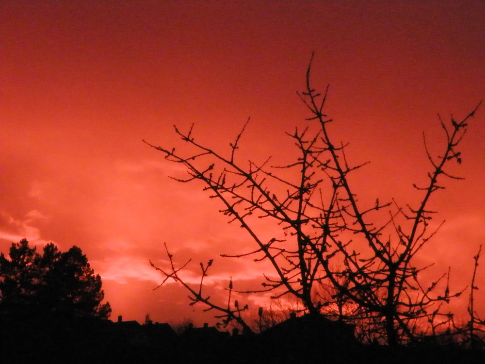 Sonnenuntergang im Februar in Colditz