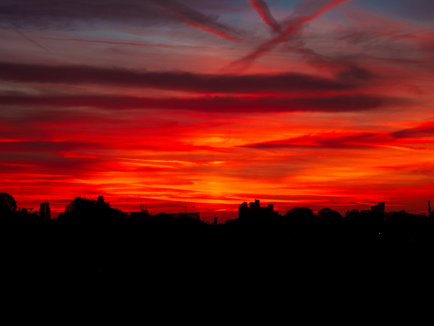 Sonnenuntergang im Fechenheimer Mainbogen